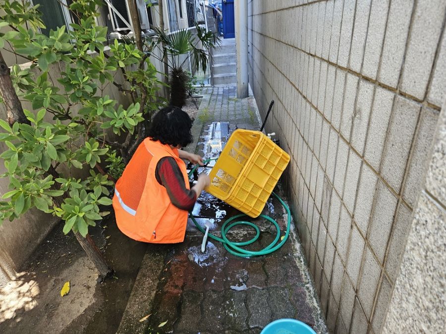 사진